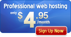 Professional Web Hosting